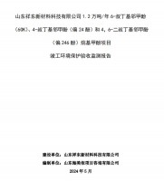 山東祥東新材料科技有限公司1.2萬噸/年6-叔丁基鄰甲(60K)、4-叔丁基鄰甲酚(偏 24 酚)和 4，6-二叔丁基鄰甲酚(偏 246 酚)烷基甲酚項目竣工環(huán)境保護驗收監(jiān)測報告